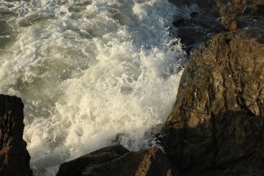 Atlantik dalgaları Carlyon körfezine doğru süpürüyor kumsaldaki kumu temizliyor ve İngiltere 'nin güney kıyısı ve Cornwall ilçesi açıklarındaki fırtınayı takiben kayaların üzerine çarpıyor.