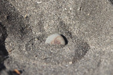 Dalgalar Tener 'de bir kumsalda siyah kum ve kayaların üzerine düşüyor.