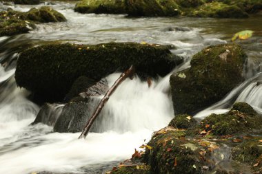 Watersmeet 'in milli güven sahasında yürürken Lyn nehrinin akıntılarında sonbahar suları çağlıyor.