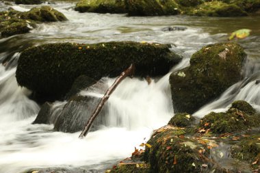 Watersmeet 'in milli güven sahasında yürürken Lyn nehrinin akıntılarında sonbahar suları çağlıyor.