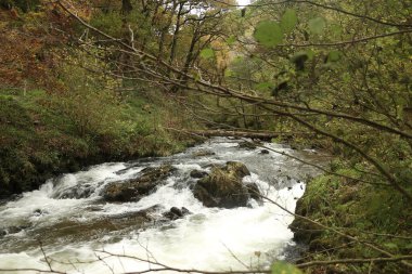 Watersmeet 'in milli güven sahasında yürürken Lyn nehrinin akıntılarında sonbahar suları çağlıyor.