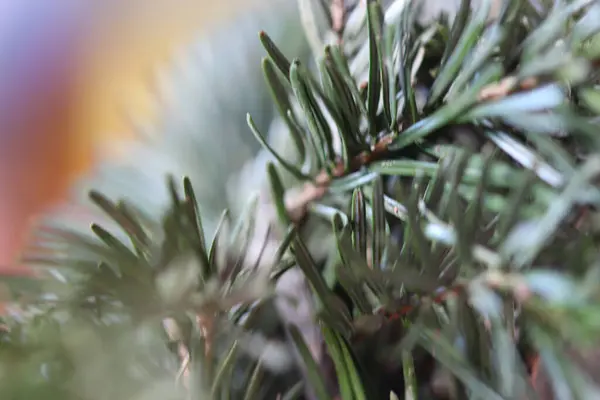 Glänzende Dekoration Weihnachten — Stockfoto