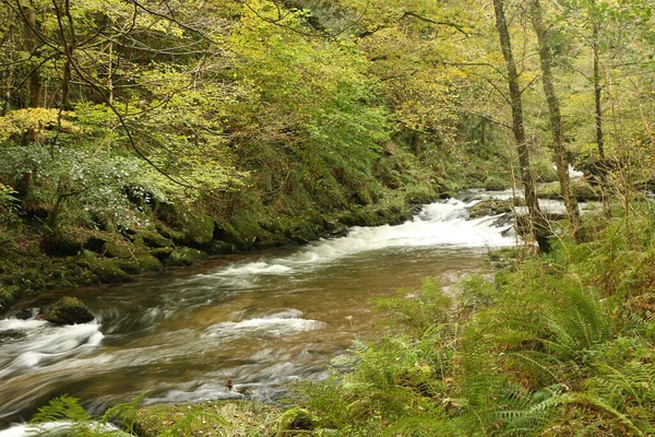 Autumn Water Cascading Rapids River Lyn Whilst Walking Paths National — Stock Photo, Image