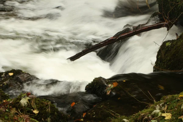 Podzimní Voda Kaskádovitě Stékající Peřejemi Řeky Lyn Při Chůzi Stezkách — Stock fotografie