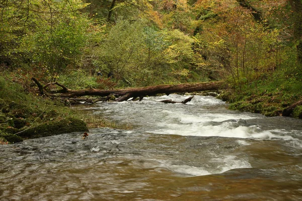 Φθινόπωρο Νερό Cascading Κάτω Από Ορμητικά Νερά Του Ποταμού Lyn — Φωτογραφία Αρχείου