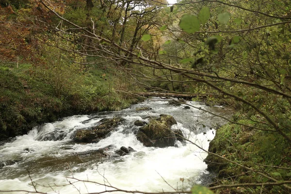 Acqua Autunnale Che Scende Cascata Lungo Rapide Del Fiume Lyn — Foto Stock