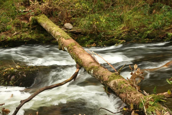 Φθινόπωρο Νερό Cascading Κάτω Από Ορμητικά Νερά Του Ποταμού Lyn — Φωτογραφία Αρχείου