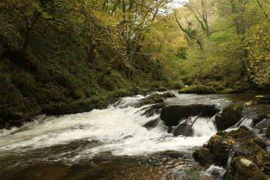 Watersmeet 'in milli güven sahasında yürürken Lyn nehrinin akıntılarında sonbahar suları çağlıyor.