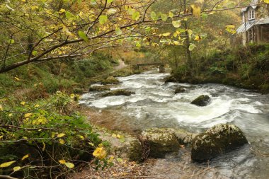 Watersmeet 'in milli güven sahasında yürürken Lyn nehrinin akıntılarında sonbahar suları çağlıyor.