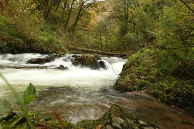 Watersmeet 'in milli güven sahasında yürürken Lyn nehrinin akıntılarında sonbahar suları çağlıyor.