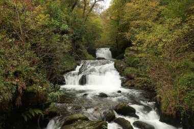 Watersmeet 'in milli güven sahasında yürürken Lyn nehrinin akıntılarında sonbahar suları çağlıyor.