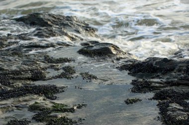 Dalgalar kayaların üzerinden geçip St. Austell, Cornwall, İngiltere 'nin dışındaki Carlyon Körfezi sahiline çarpıyor. Atlantik Okyanusu' ndaki fırtınanın ardından.