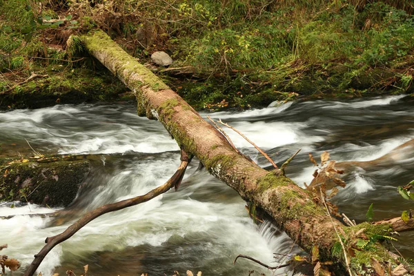 Φθινόπωρο Νερό Cascading Κάτω Από Ορμητικά Νερά Του Ποταμού Lyn — Φωτογραφία Αρχείου