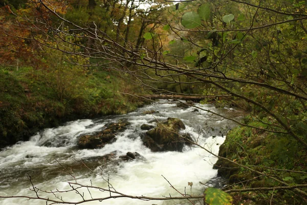 Φθινόπωρο Νερό Cascading Κάτω Από Ορμητικά Νερά Του Ποταμού Lyn — Φωτογραφία Αρχείου