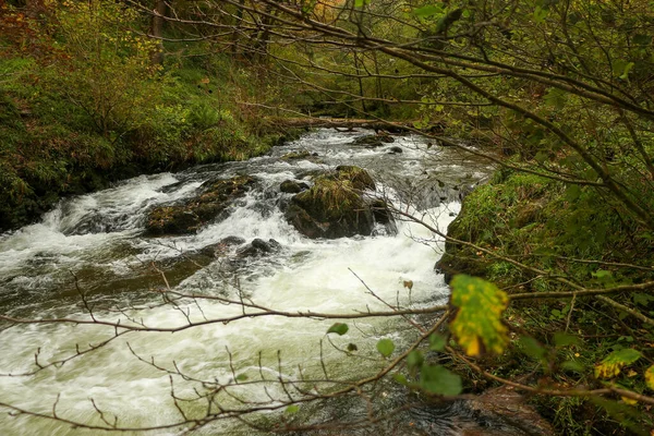 Φθινόπωρο Νερό Cascading Κάτω Από Ορμητικά Νερά Του Ποταμού Lyn — Φωτογραφία Αρχείου