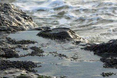 Dalgalar kayaların üzerinden geçip St. Austell, Cornwall, İngiltere 'nin dışındaki Carlyon Körfezi sahiline çarpıyor. Atlantik Okyanusu' ndaki fırtınanın ardından.