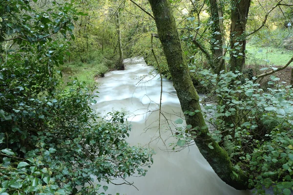 Rzeka Heddon Spuchnięta Przez Obfite Opady Deszczu Wody Powodziowe Rozbijające — Zdjęcie stockowe