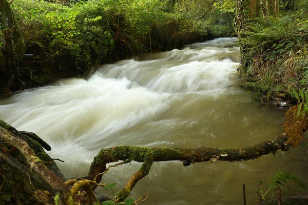 Der Heddon Fluss Ist Auf Dem Weg Zur See Der — Stockfoto