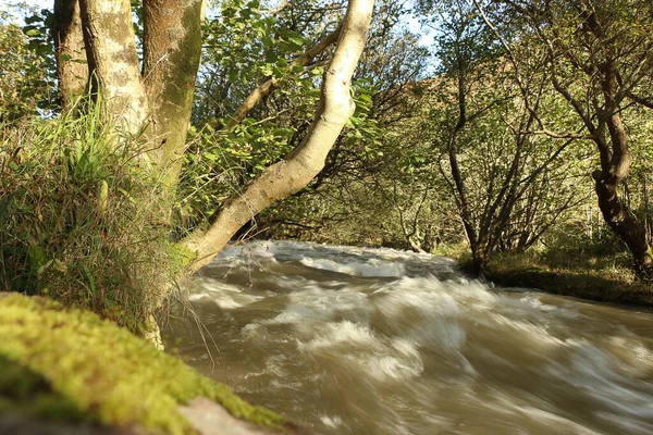 Rzeka Heddon Spuchnięta Przez Obfite Opady Deszczu Wody Powodziowe Rozbijające — Zdjęcie stockowe