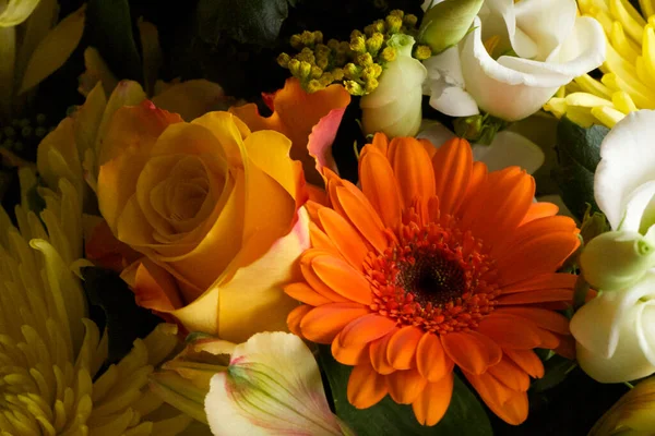 Işığı yansıtan bitkiler