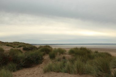 Kuzey Devon 'daki Saunton Sahili' nin arkasındaki kum tepeleri sert sonbahar rüzgarlarında el sallıyor..