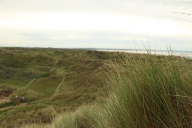 Kuzey Devon 'daki Saunton Sahili' nin arkasındaki kum tepeleri sert sonbahar rüzgarlarında el sallıyor..