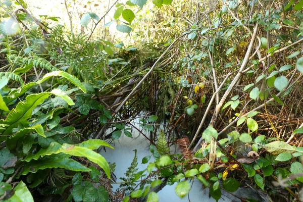 Aguas Inundación Que Salen Ladera Como Cascadas Después Fuertes Lluvias — Foto de Stock