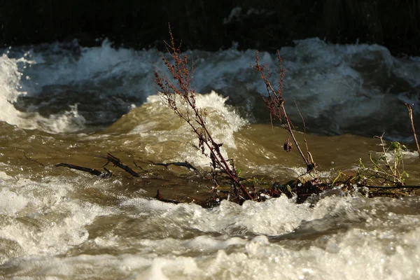 Heddon Rivier Opgezwollen Door Hevige Regenval Vloedwater Dat Door Heddon — Stockfoto