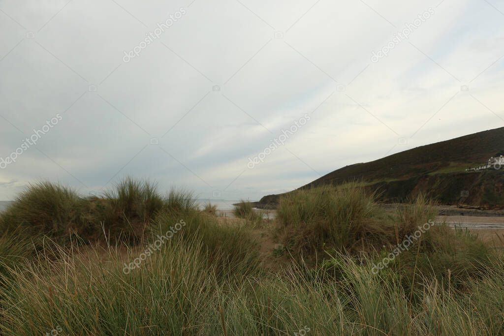 Grassy sand dunes behind saunton beach in north devon waving in the rough autumn winds.