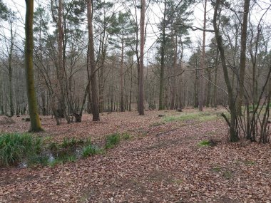 Soğuk bir kış manzarasının sulu dokuları