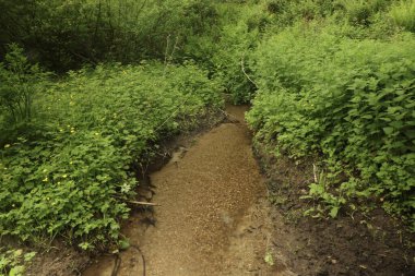 Cornish manzarası manzarası 