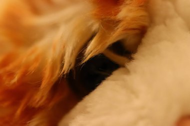 Noel zamanı evin ve bahçenin etrafında bulunan kumaşlar.