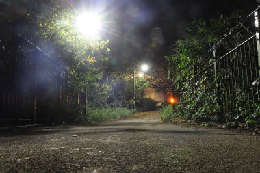 Hertford 'un parklarında gece yarısı yürüyüşü