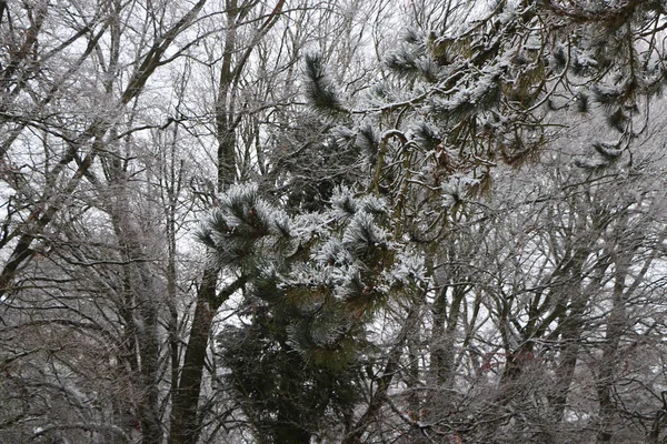 Schnee Und Frost Bedecken Vereiste Landschaften Großbritanniens — Stockfoto