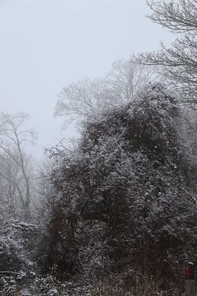 Schnee Und Frost Bedecken Vereiste Landschaften Großbritanniens — Stockfoto