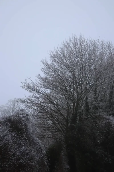 Neve Geada Coberto Paisagens Geladas Grã Bretanha Janela — Fotografia de Stock