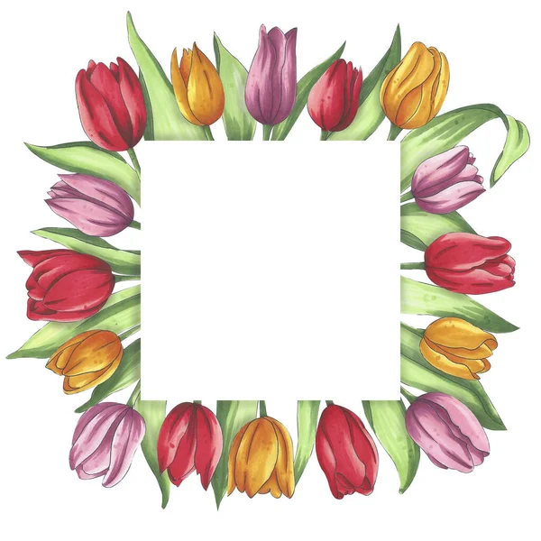 Květinový letní rám z tulipánů a listů. Ruční kresba, náčrtek značky. Pro návrh stránek, pracovních míst, publikací — Stock fotografie