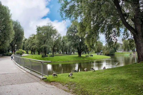 Múnich Alemania Septiembre 2018 Parque Con Césped Verde Árboles Estanque — Foto de Stock