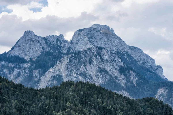 Una Splendida Vista Sulle Alte Alpi Foresta Verde Crescita Sotto — Foto Stock