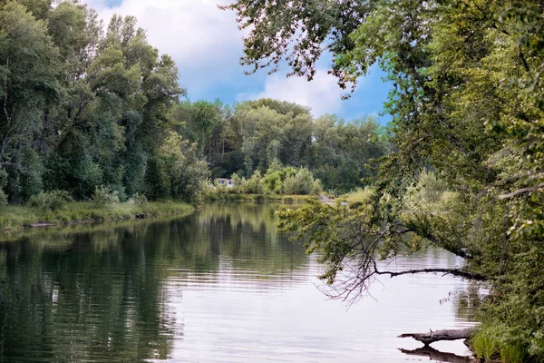 Krásná Krajina Řeky Obklopená Stromy Slunečného Letního Dne Pod Modrou — Stock fotografie