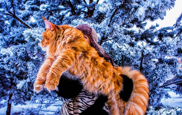 霜の降る日 シベリアの雪に覆われた森の中に巨大な海洋カヌーの猫を抱えている女性 コンセプト — ストック写真