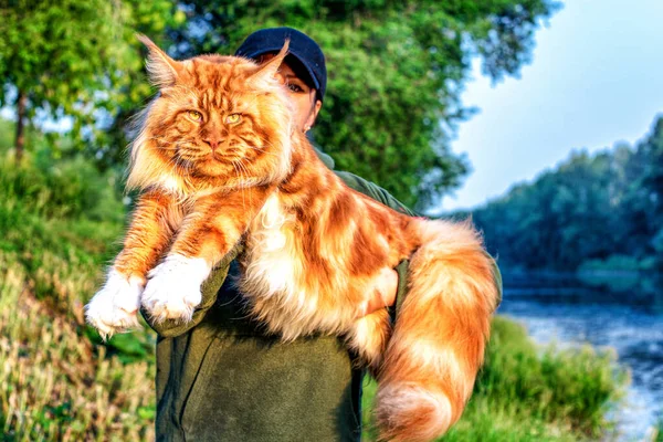 夏に森の中で巨大な海獣の猫を抱いている女の子 — ストック写真