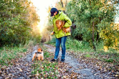 Parkta Pomeranya köpeği tükürüğüyle yürüyen bir kadın..