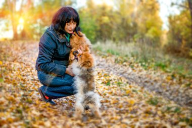 Parkta Pomeranya köpeği tükürüğüyle yürüyen bir kadın..
