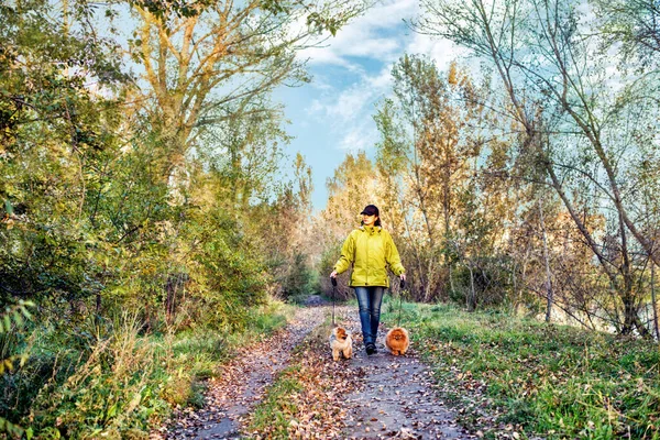 Parkta Pomeranya köpeği tükürüğüyle yürüyen bir kadın..