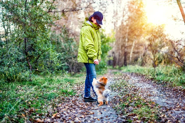 Una Donna Che Cammina Con Cane Pomerania Spitz Parco — Foto Stock
