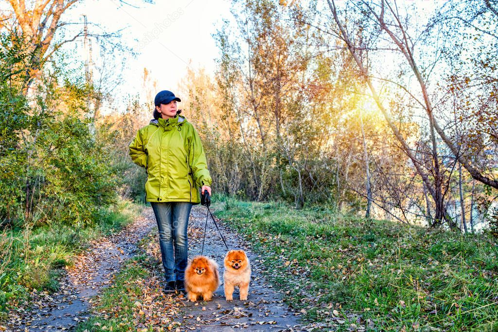 A woman walking with a pomeranian dog spitz in a park.