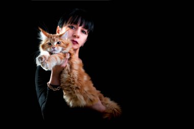 Kırmızı ve beyaz bir rakun kedi. Kırmızı arka planda bir kadının kollarında..