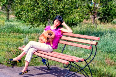 Yaz günü Pomeranya köpeğiyle parkta bankta oturan hoş bir genç kadın..