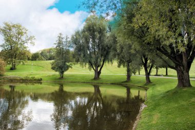 Mavi bulutlu gökyüzünün altında ördekler olan bir gölette yeşil çimenler ve ağaçlar olan bir park..
